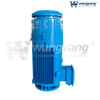 Motor de eixo oco vertical (TEFC_IP54)